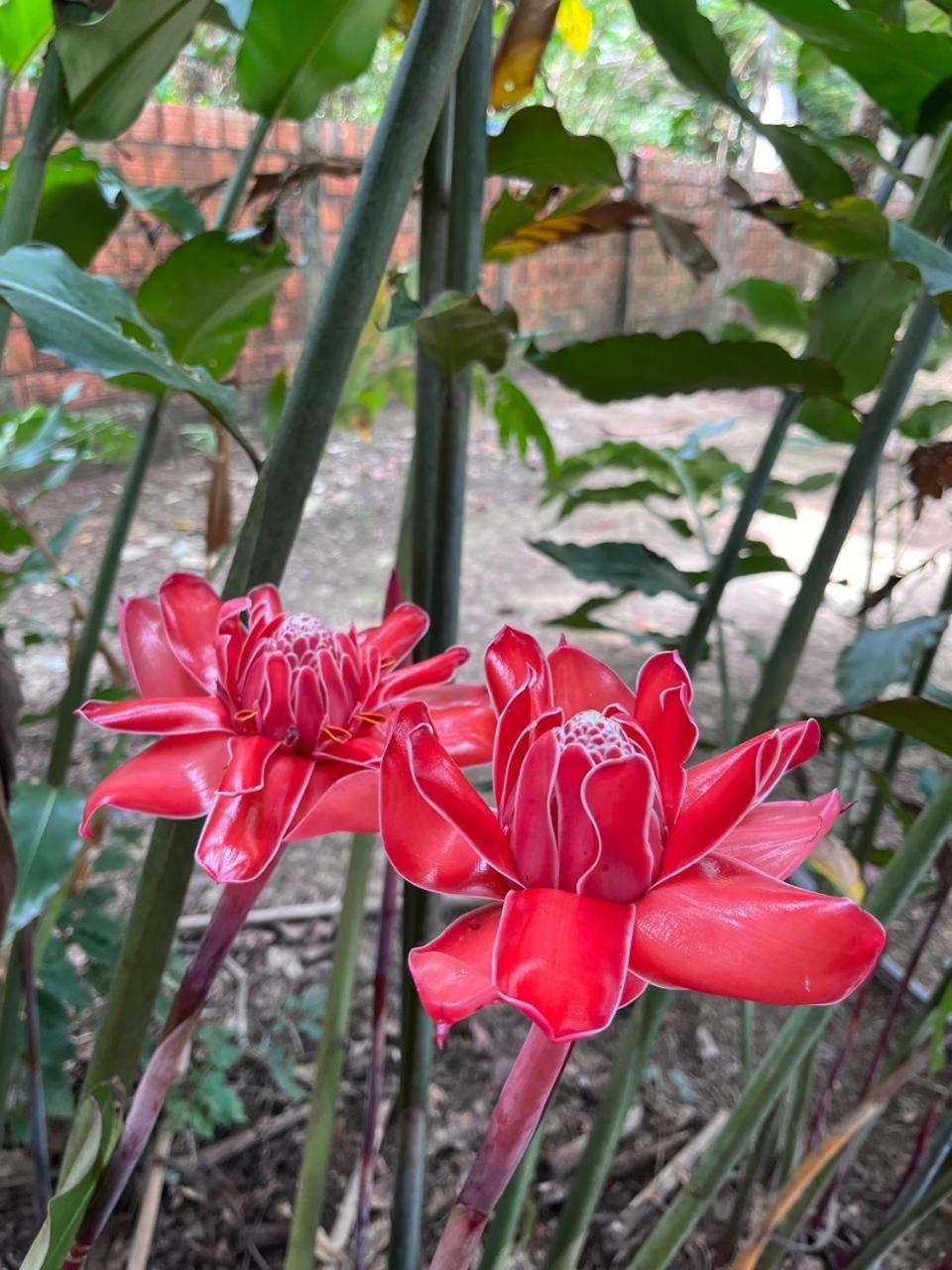 ריו ברנקו Aquiri Hostel מראה חיצוני תמונה